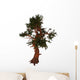 Pinus Aristata Tree White Wall Decal
