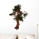 Pinus Aristata Tree White Wall Decal