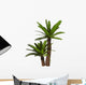 Cycad Plant White Wall Decal Design 1