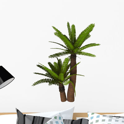 Cycad Plant White Wall Decal Design 1 shown on a wall