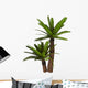 Cycad Plant White Wall Decal Design 1