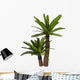 Cycad Plant White Wall Decal Design 1