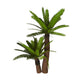 Cycad Plant White Wall Decal Design 1