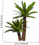 Cycad Plant White Wall Decal Design 1
