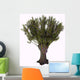 Salix Viminalis Shrub White Wall Decal