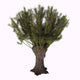 Salix Viminalis Shrub White Wall Decal