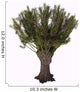 Salix Viminalis Shrub White Wall Decal