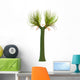 Sigillaria Prehistoric Plant White Wall Decal