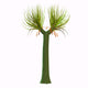Sigillaria Prehistoric Plant White Wall Decal