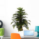 Tempskya Tree White Wall Decal