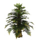 Tempskya Tree White Wall Decal