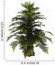 Tempskya Tree White Wall Decal
