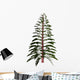 Walchia Tree White Wall Decal