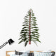 Walchia Tree White Wall Decal