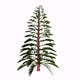 Walchia Tree White Wall Decal