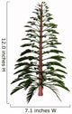 Walchia Tree White Wall Decal