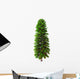 Wollemia Nobilis Tree White Wall Decal