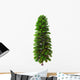 Wollemia Nobilis Tree White Wall Decal