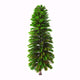 Wollemia Nobilis Tree White Wall Decal