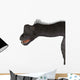 Brachiosaurus Dinosaur Head Wall Decal Design 1