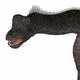 Brachiosaurus Dinosaur Head Wall Decal Design 1