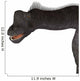 Brachiosaurus Dinosaur Head Wall Decal Design 1