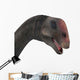 Brontomerus Dinosaur Head Wall Decal