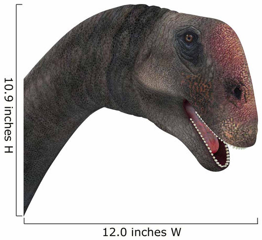 Brontomerus Dinosaur Head Wall Decal