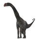 Brontomerus Dinosaur White Wall Decal