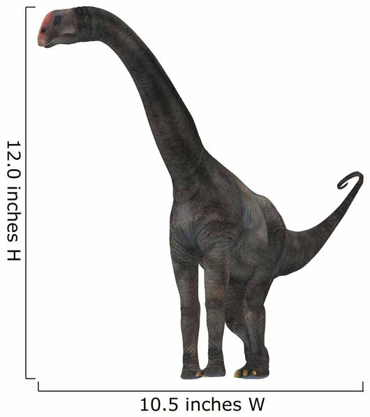 Brontomerus Dinosaur White Wall Decal