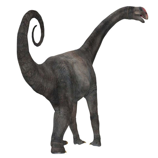 Rear Brontomerus Dinosaur Wall Decal