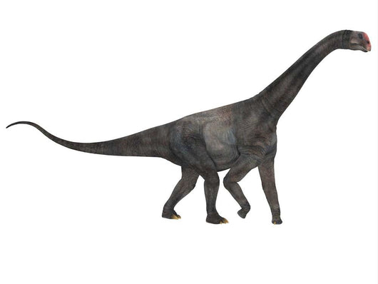 Side Profile Brontomerus Dinosaur Wall Decal