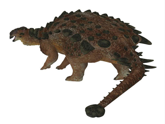 Pinacosaurus Dinosaur White Wall Decal