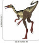 Pelecanimimus Dinosaur White Wall Decal