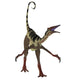 Front Pelecanimimus Dinosaur Wall Decal