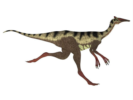 Side Profile Pelecanimimus Dinosaur Wall Decal