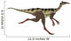 Side Profile Pelecanimimus Dinosaur Wall Decal