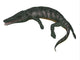 Archegosaurus White Wall Decal Design 1