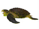 Archelon Sea Turtle Side Wall Decal