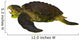 Archelon Sea Turtle Side Wall Decal