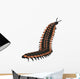 Arthropleura Invertebrate White Wall Decal Design 2