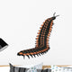 Arthropleura Invertebrate White Wall Decal Design 2