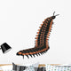 Arthropleura Invertebrate White Wall Decal Design 2