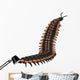 Arthropleura Invertebrate White Wall Decal Design 2