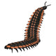 Arthropleura Invertebrate White Wall Decal Design 2