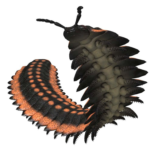 Arthropleura Invertebrate White Wall Decal Design 1