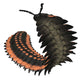 Arthropleura Invertebrate White Wall Decal Design 1