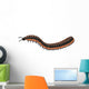 Arthropleura Side Profile Wall Decal
