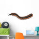 Arthropleura Side Profile Wall Decal