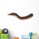 Arthropleura Side Profile Wall Decal